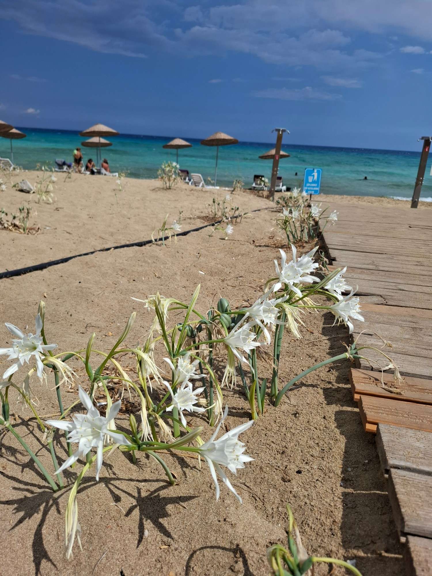 Cyprus Dream Holiday Galéria 16